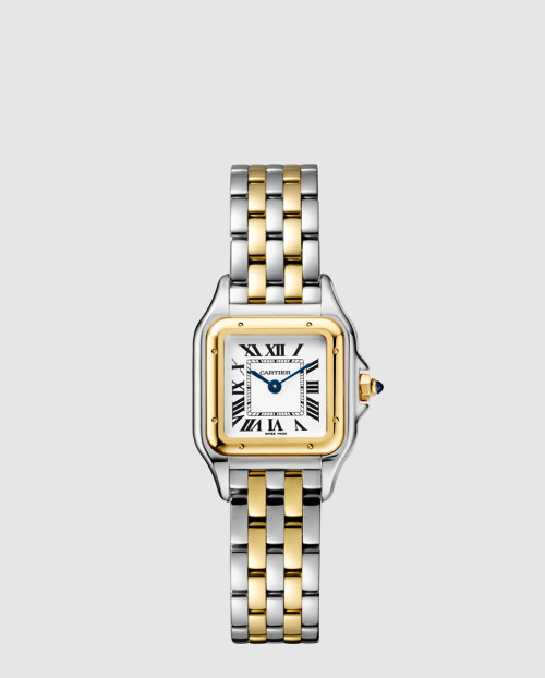 [CARTIER-까르띠에]팬더 드 까르띠에 콤비 22 W2PN0006