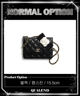 [CHANEL-샤넬]미니 WOC AP2160