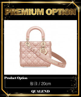 [DIOR-디올]레이디백 ABC M0538