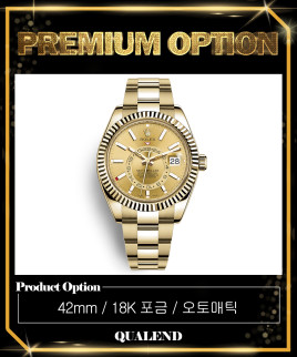 [ROLEX-롤렉스]스카이 드웰러 금통 42 326938