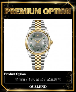 [ROLEX-롤렉스]데이저스트 콤비 41 126333