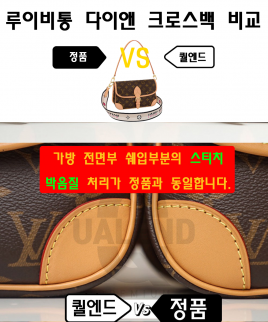 [LOUIS VUITTON-루이비통]다이앤 크로스백