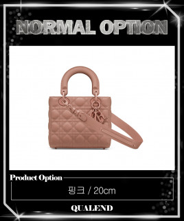 [DIOR-디올]레이디백 ABC M0538