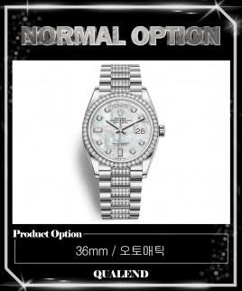 [ROLEX-롤렉스]데이데이트 36 128349RBR