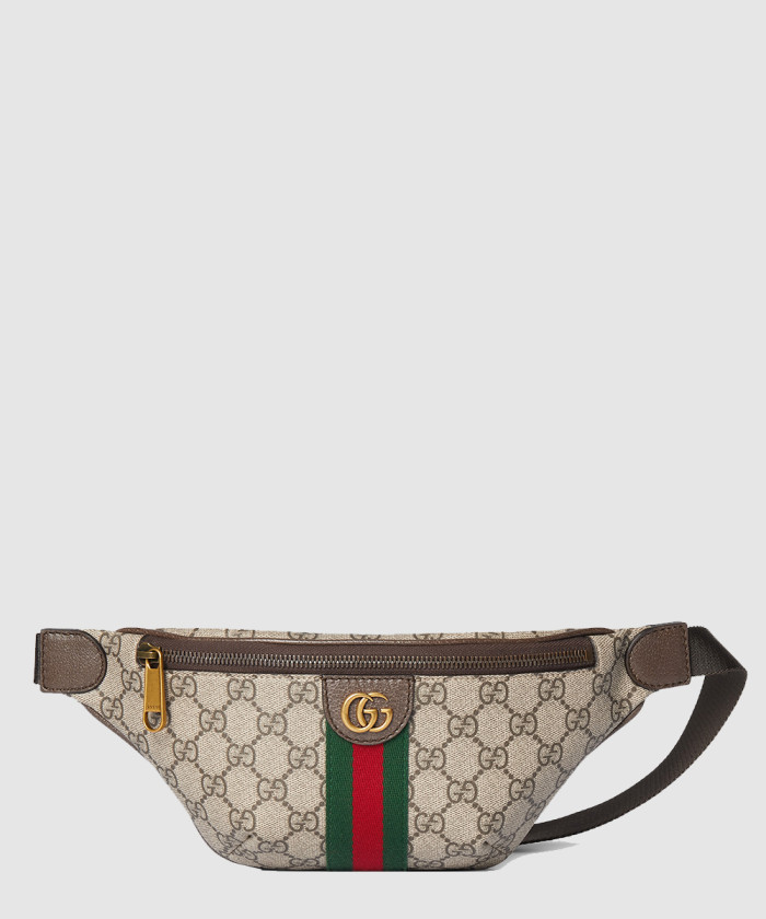 레플리카|이미테이션 gucci-구찌오피디아-작은-벨트백-839106